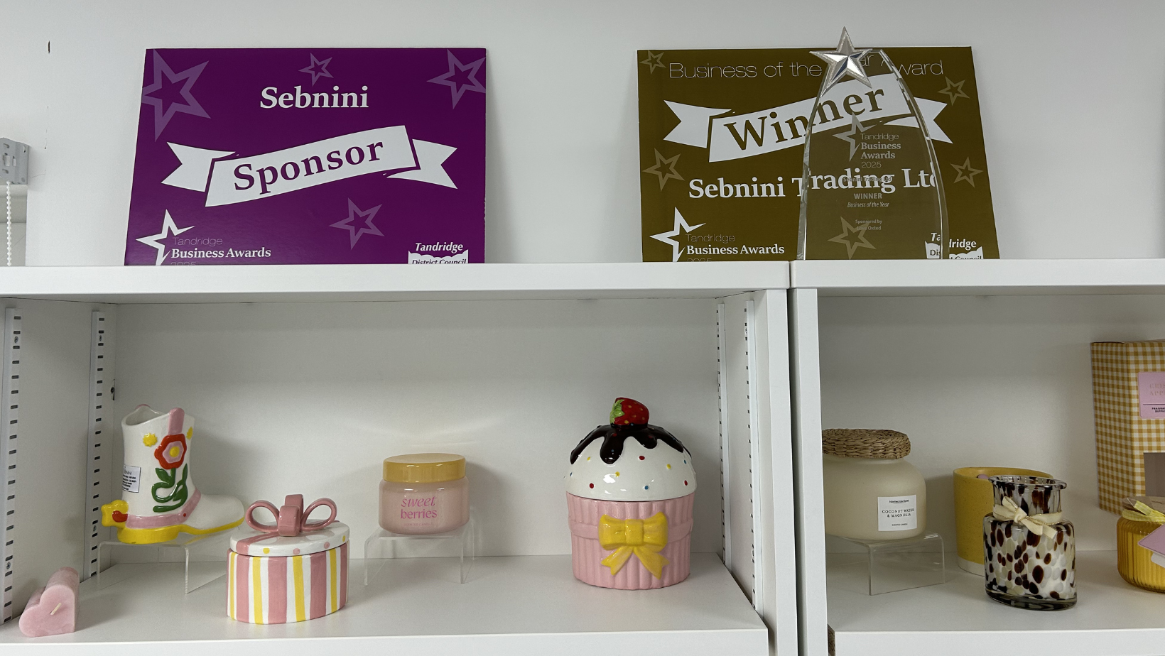 sebnini awards displayed on a bookshelf